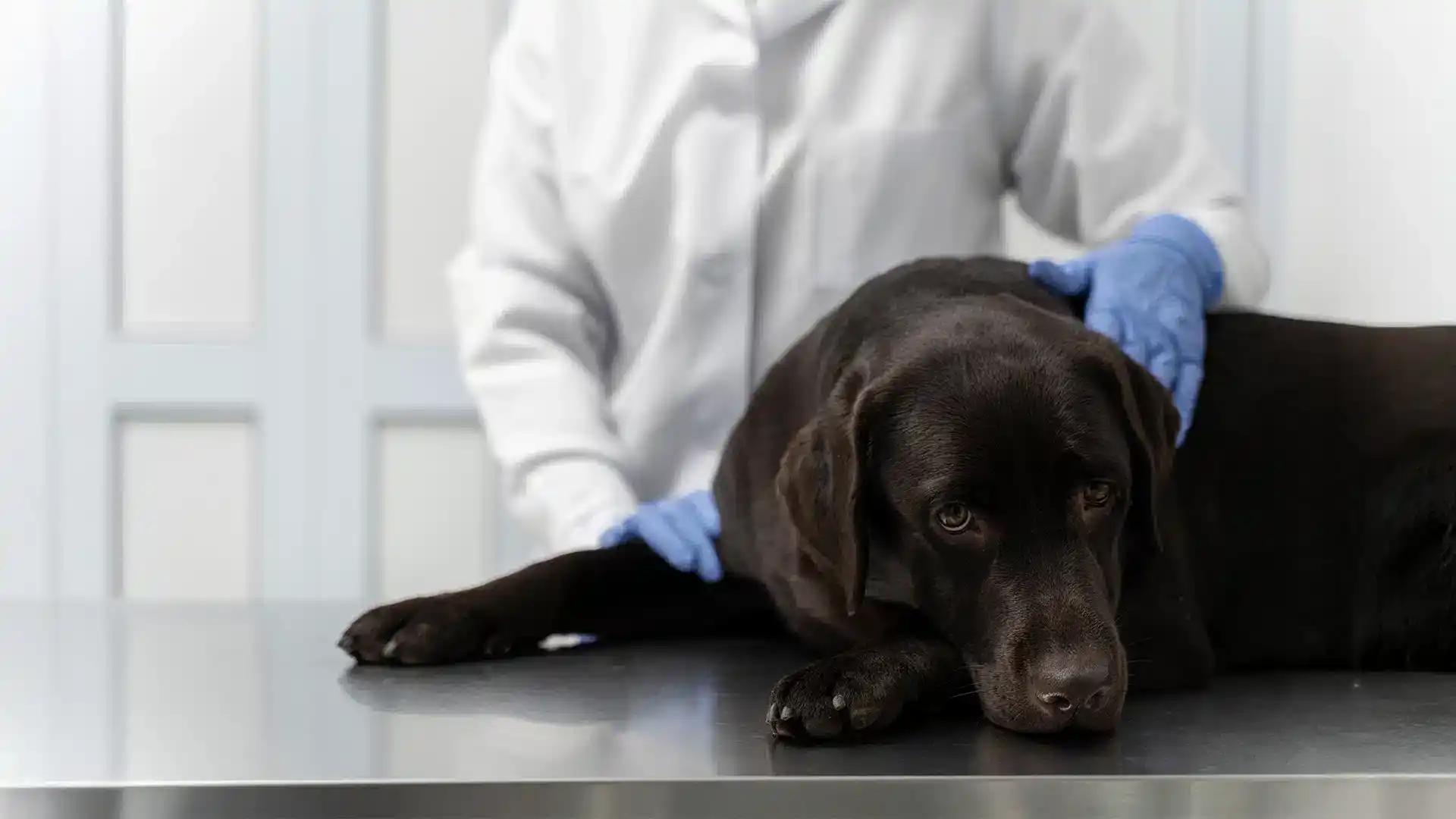 Zehirlenme Durumunda Ne Yapmalı?