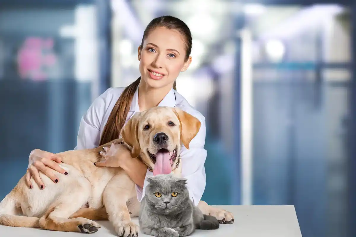 Boğulma ve Solunum Durması